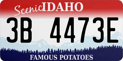 ID license plate 3B4473E