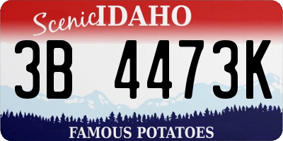 ID license plate 3B4473K