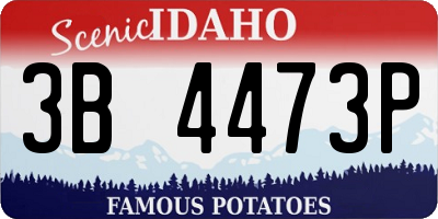 ID license plate 3B4473P
