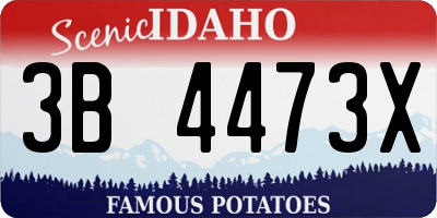 ID license plate 3B4473X