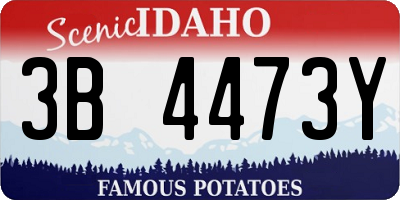 ID license plate 3B4473Y
