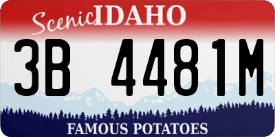 ID license plate 3B4481M