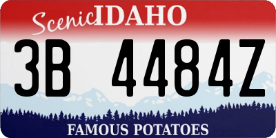 ID license plate 3B4484Z