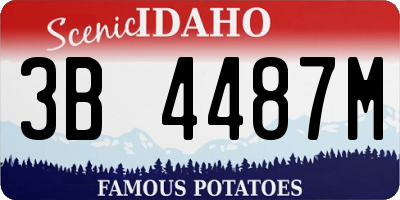 ID license plate 3B4487M