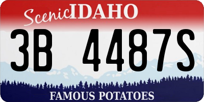 ID license plate 3B4487S