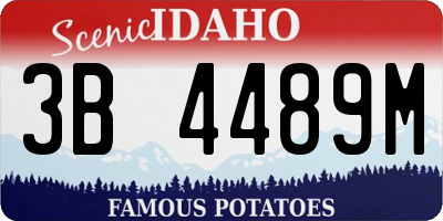 ID license plate 3B4489M