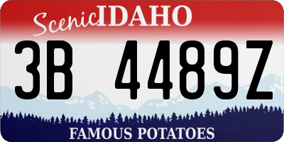 ID license plate 3B4489Z