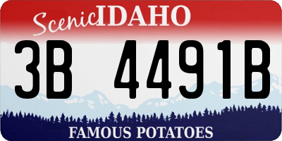 ID license plate 3B4491B