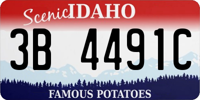 ID license plate 3B4491C