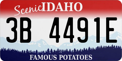 ID license plate 3B4491E