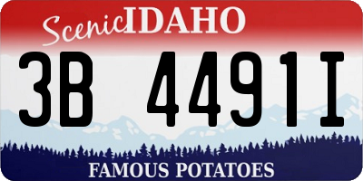 ID license plate 3B4491I