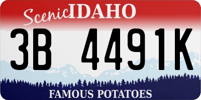 ID license plate 3B4491K