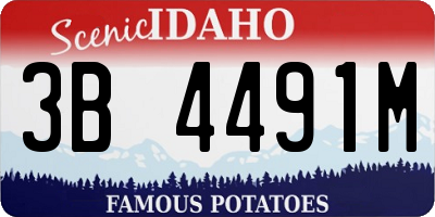 ID license plate 3B4491M