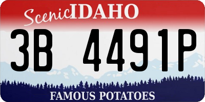 ID license plate 3B4491P
