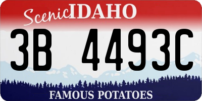ID license plate 3B4493C