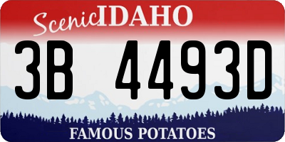 ID license plate 3B4493D