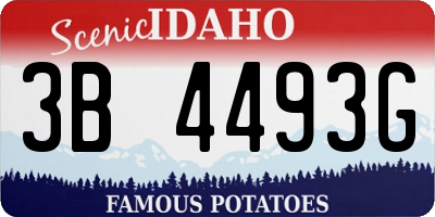 ID license plate 3B4493G