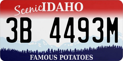 ID license plate 3B4493M