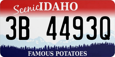 ID license plate 3B4493Q