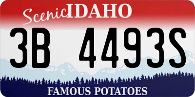 ID license plate 3B4493S