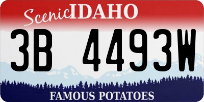 ID license plate 3B4493W