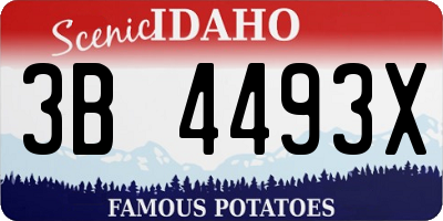 ID license plate 3B4493X