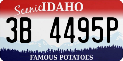 ID license plate 3B4495P