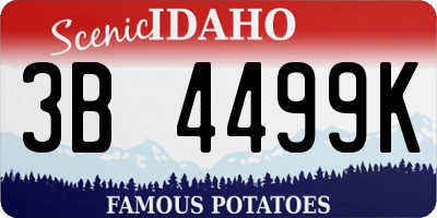 ID license plate 3B4499K