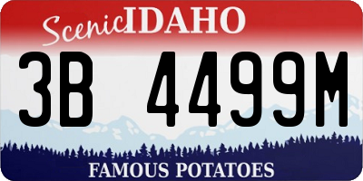 ID license plate 3B4499M