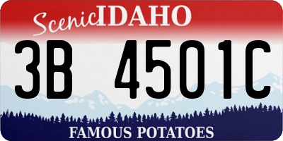 ID license plate 3B4501C
