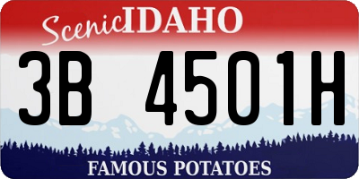 ID license plate 3B4501H