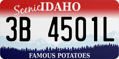 ID license plate 3B4501L
