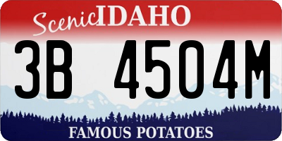 ID license plate 3B4504M