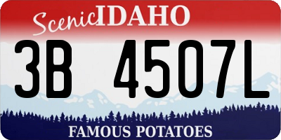 ID license plate 3B4507L