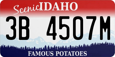 ID license plate 3B4507M