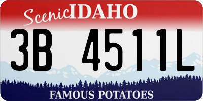 ID license plate 3B4511L