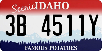ID license plate 3B4511Y