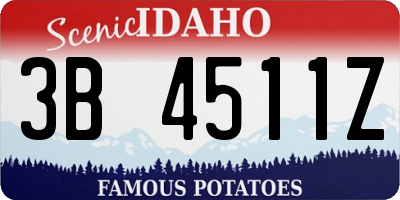 ID license plate 3B4511Z