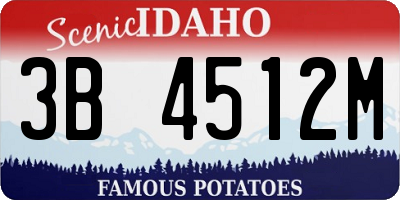 ID license plate 3B4512M