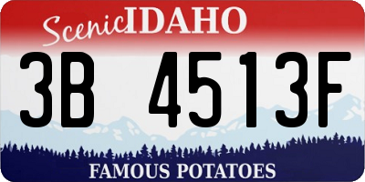 ID license plate 3B4513F