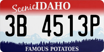 ID license plate 3B4513P
