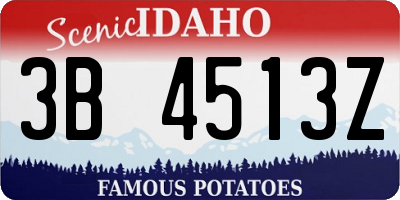 ID license plate 3B4513Z