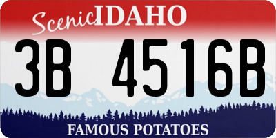 ID license plate 3B4516B