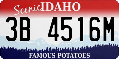 ID license plate 3B4516M