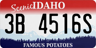 ID license plate 3B4516S