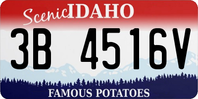 ID license plate 3B4516V