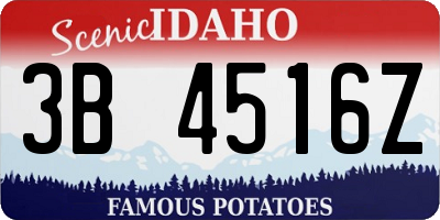 ID license plate 3B4516Z