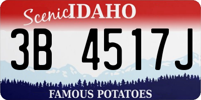ID license plate 3B4517J