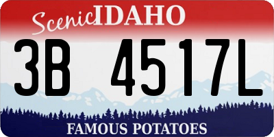 ID license plate 3B4517L