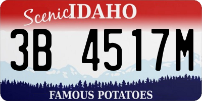 ID license plate 3B4517M